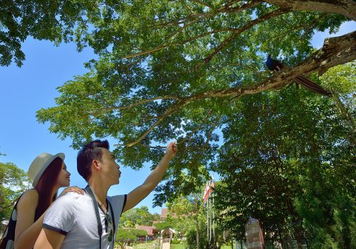 Labuan Bird Park