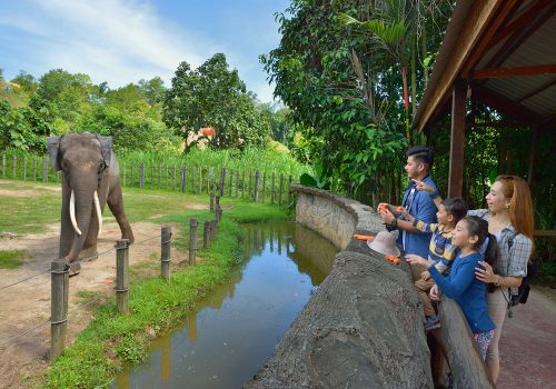 Lok Kawi Wildlife Park