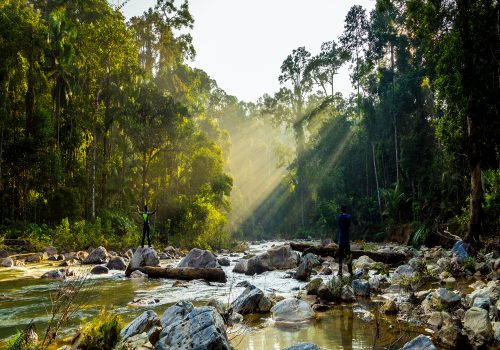 Stunning Sunrise at National Park (taman Negara) Endau Rompin Selai in Johor Malaysia.Rays oh light