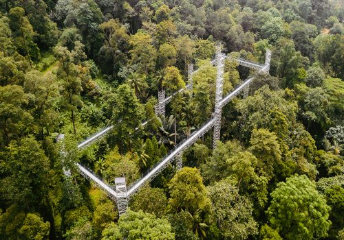 Forest Research Institute of Malaysia View