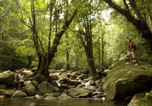 GUNUNG GADING NATIONAL PARK