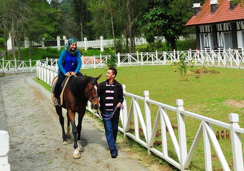 Horse riding at Fraser Hill