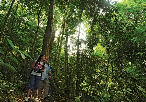 Jungle trackking at National Park