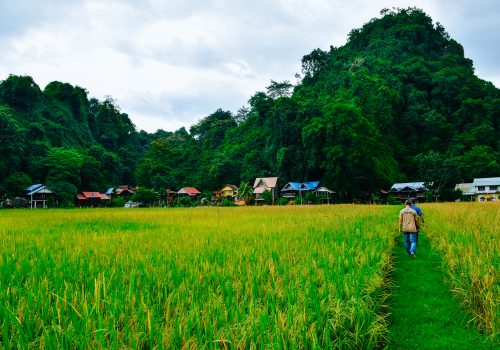 KAMPUNG UJUNG BUKIT , PERLIS *** Local Caption *** KAMPUNG UJUNG BUKIT , PERLIS