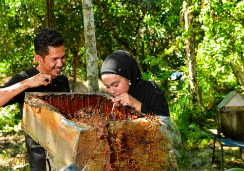 MADU KELULUT ULU LEGONG