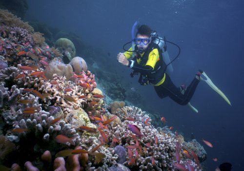 Witnessing coral reefs and marine life while swimming at Sipadan Island