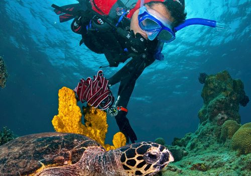 Witnessing coral reefs and marine life while swimming at Aur Island